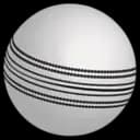 Cricket logo