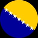 Bosnia and Herzegovina logo
