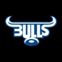 Bulls logo