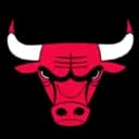 Chicago Bulls logo