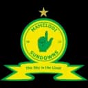 Mamelodi Sundowns logo