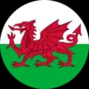 Wales logo
